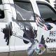 Predation Crossfit pickup truck wrap; custom truck wrap design by Signs for Success