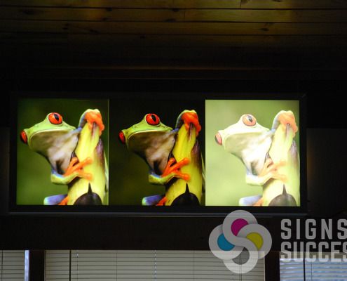 See the difference our triple strike method produces, everyone else in town prints backlit like the frog on the right, Signs for Success produces full color like the one on the left, come see us now for a fast quote
