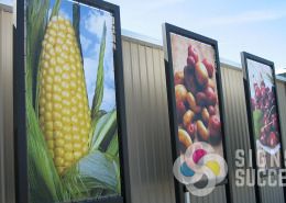 These large banners installed in the Tri Cities for 2nd Harvest are huge! they are bungee corded to the custom frame
