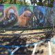 Custom Printed Chain Link Fence Slats for Zoo