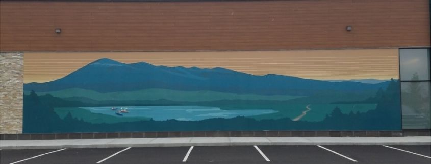 Vinyl wall mural installed on DensGlass 13' x 65'